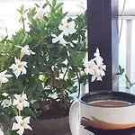Bonaca كومارنا